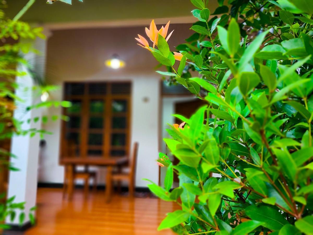 Woodholic Homestay Σιγκιρίγια Εξωτερικό φωτογραφία