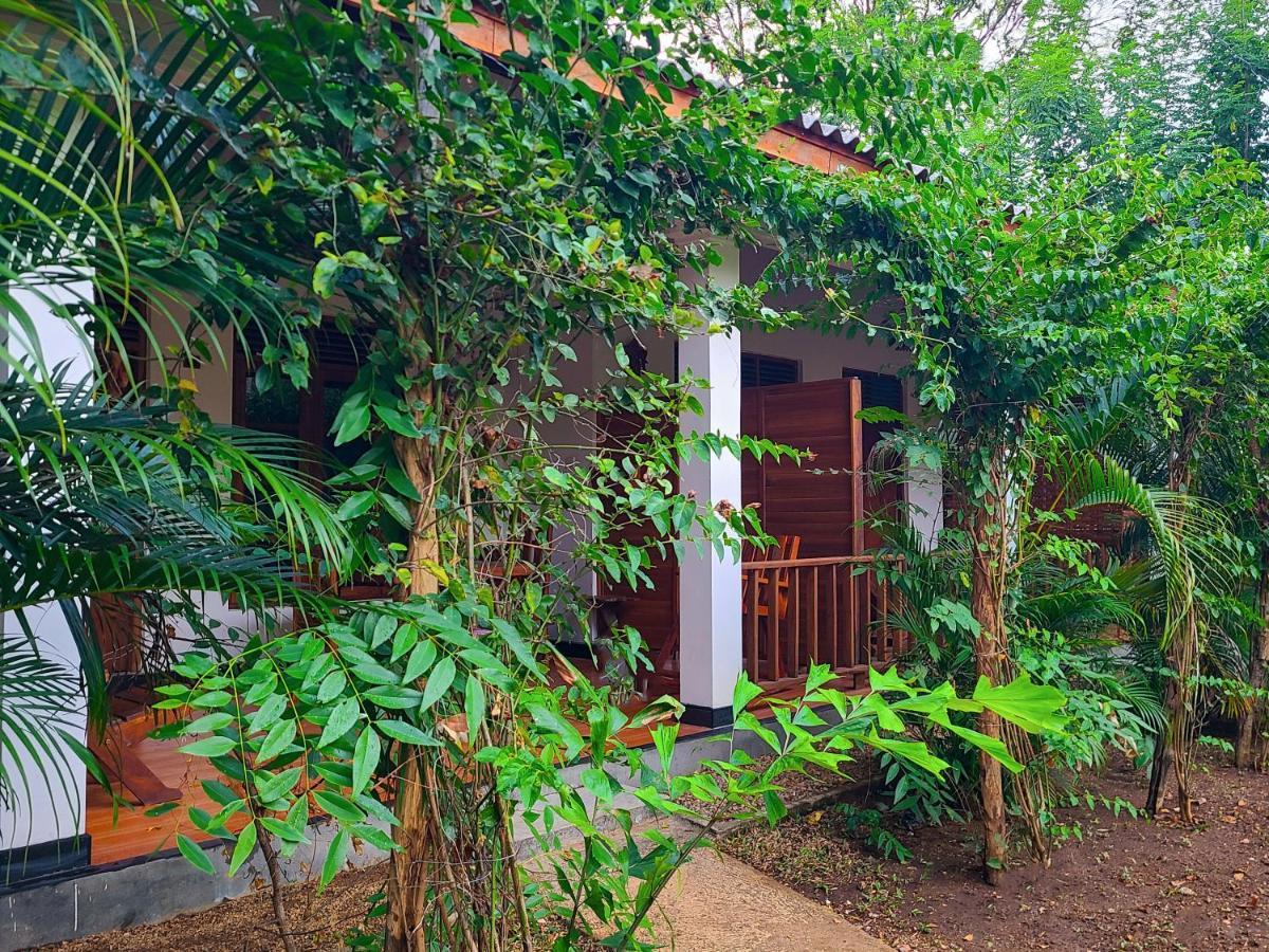 Woodholic Homestay Σιγκιρίγια Εξωτερικό φωτογραφία