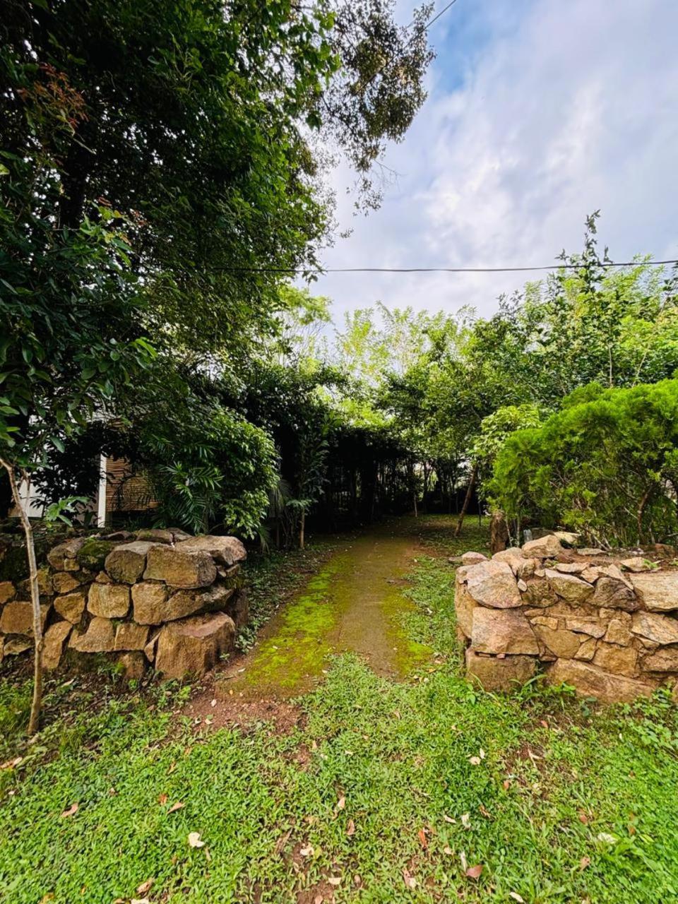 Woodholic Homestay Σιγκιρίγια Εξωτερικό φωτογραφία