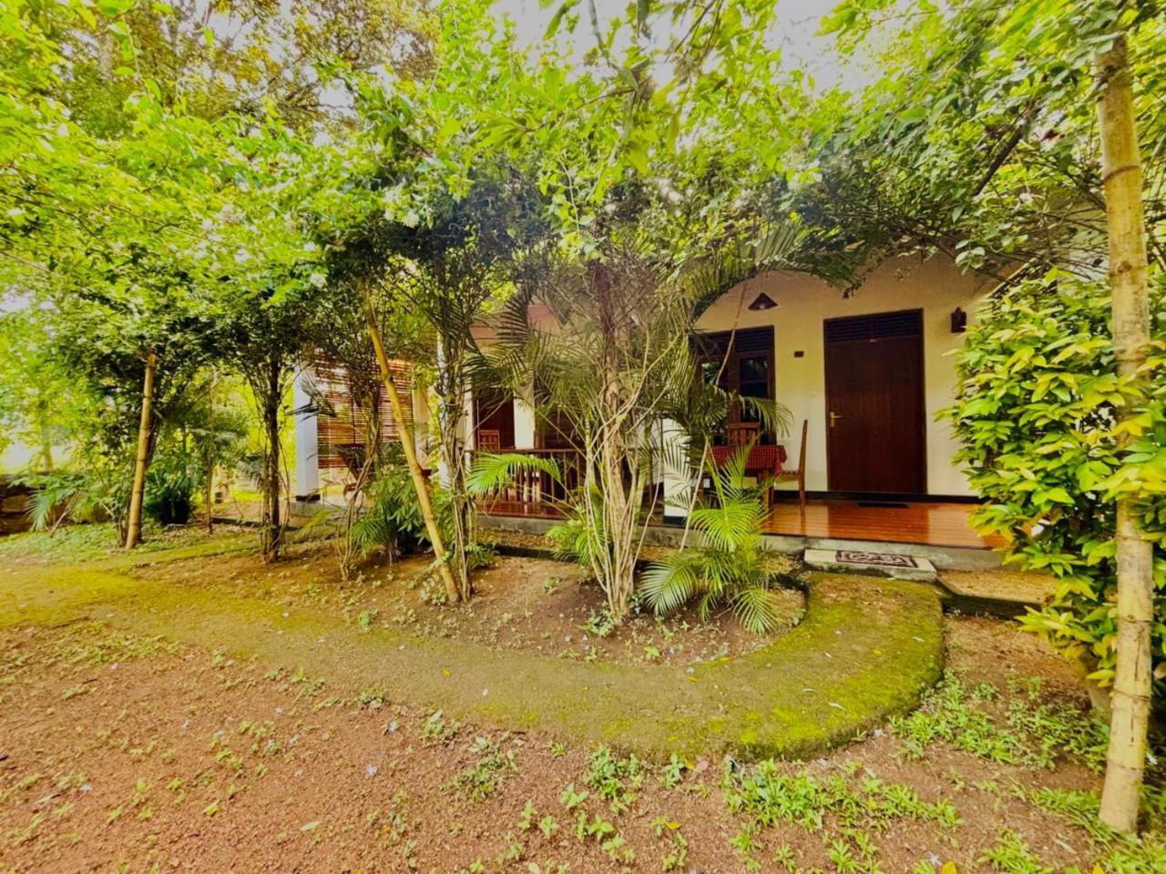 Woodholic Homestay Σιγκιρίγια Εξωτερικό φωτογραφία